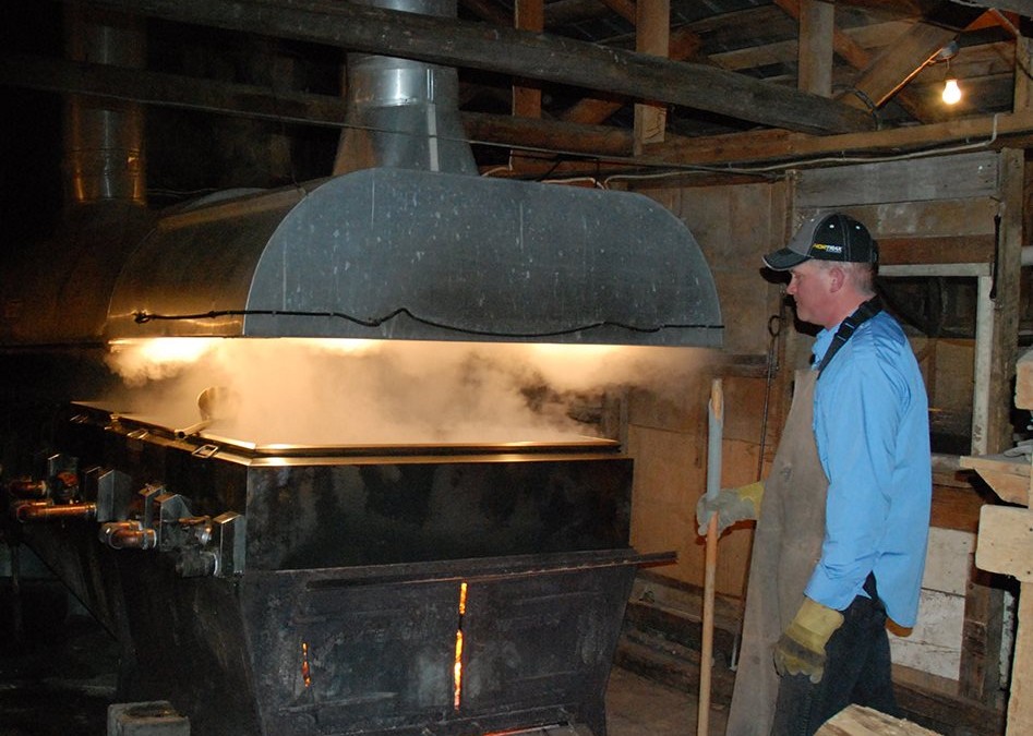 Maple Syrup 2016 at Rock-N-Horse Farm